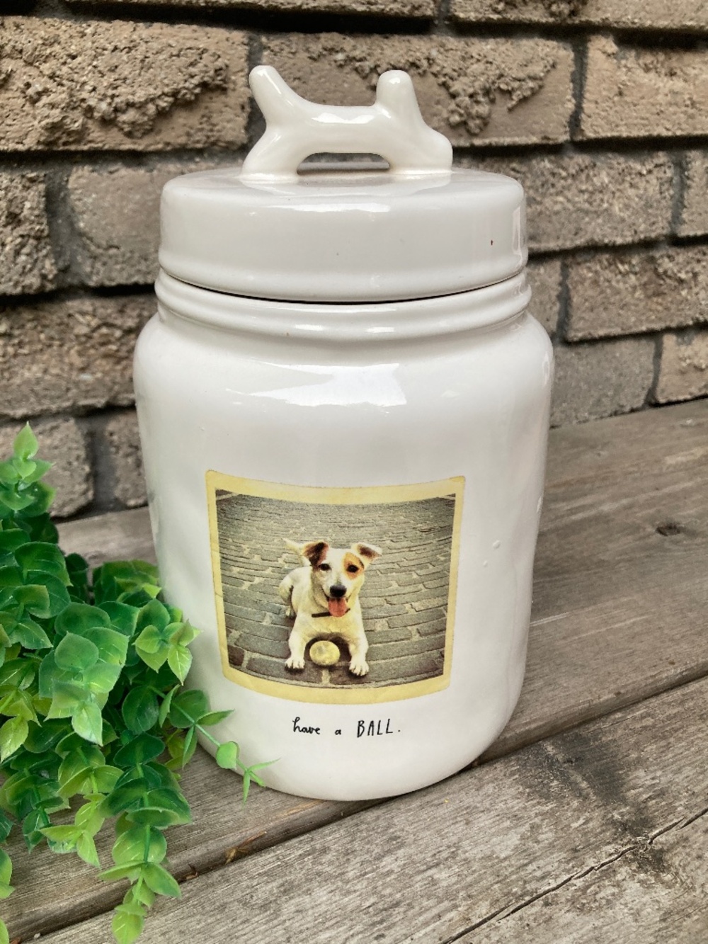 RAE DUNN Dog treat canister